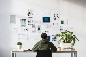 Shopify Plus Agency vs Freelancer: What’s Better for Growing eCommerce Brands?