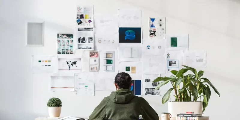 Shopify Plus Agency vs Freelancer: What’s Better for Growing eCommerce Brands?