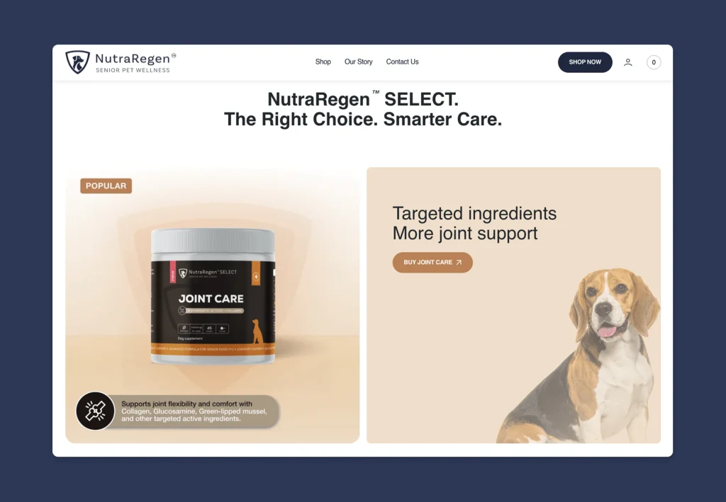 Shopify section with supplement benefits and ingredients