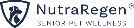 nutraregen logo - NutraRegen - Shopify Pet Supplements Store NutraRegen – Shopify Pet Supplements Store