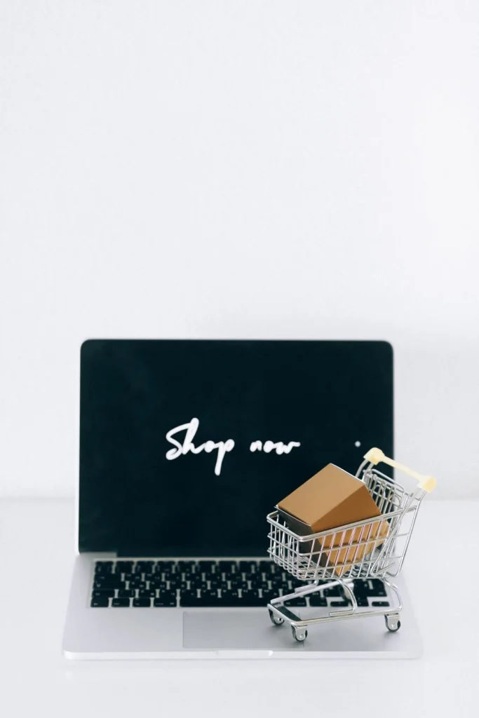 Shopify Plus maintenance check before a sales peak